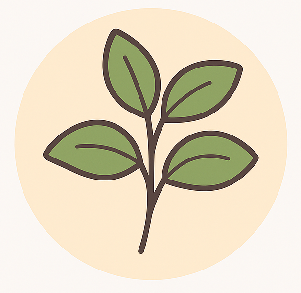 <p><strong>Stevia</strong></p>